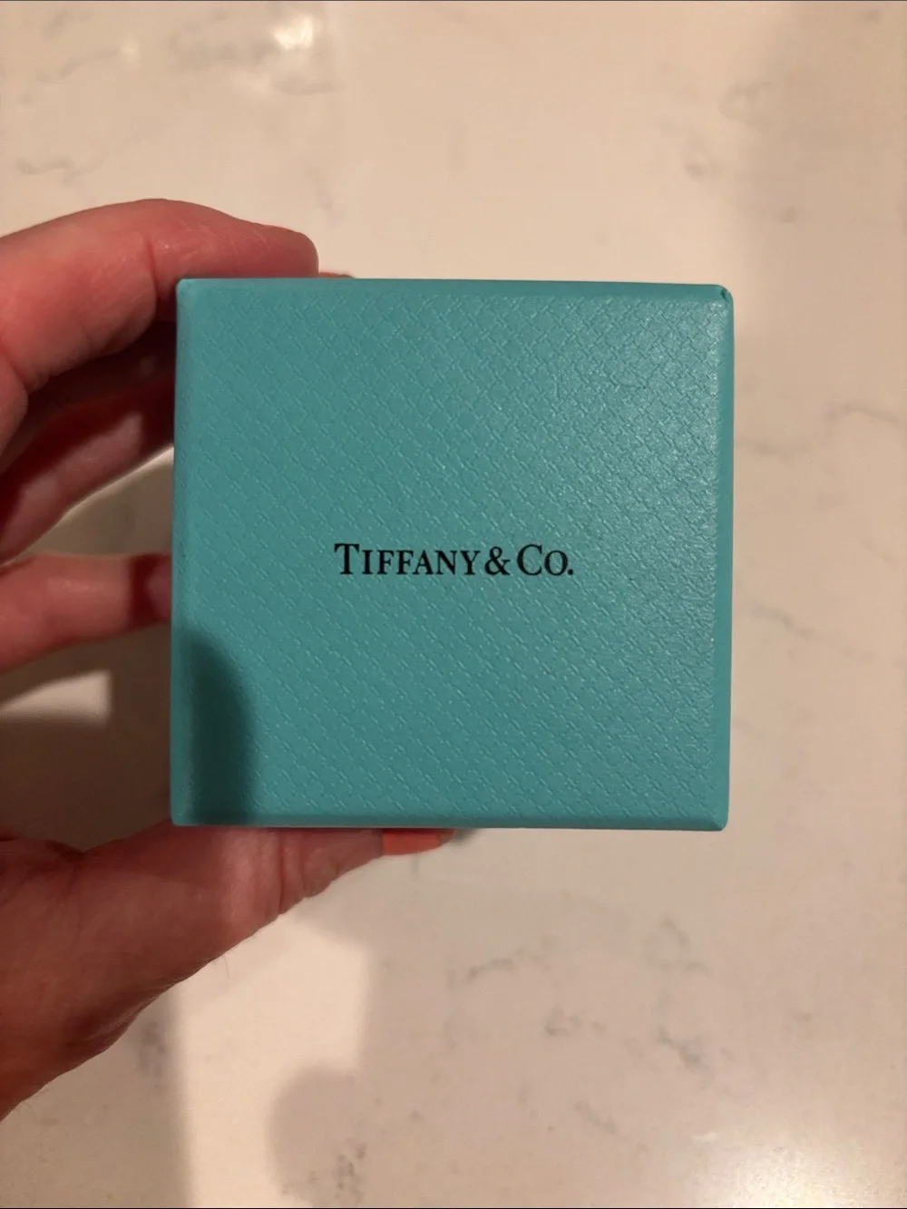 Tiffany & Co. Robin's Egg Blue Gift Box with Logo